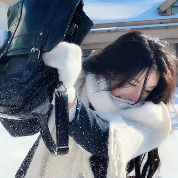 鸟瞰人生